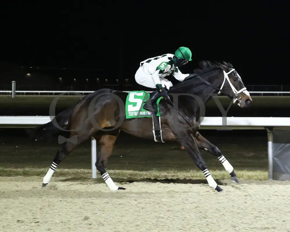 Icicles - The Likely Exchange 26Th Running 01-13-24 R08 Tp Finish 01 Turfway Park