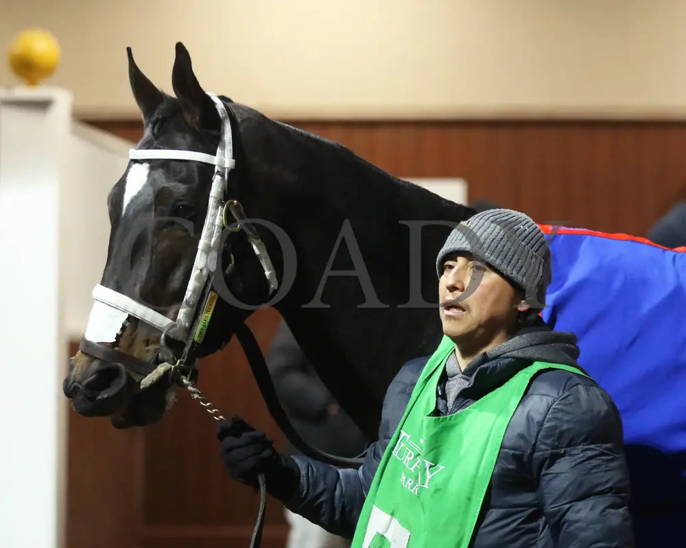 Icicles - The Likely Exchange 26Th Running 01-13-24 R08 Tp Paddock 02 Turfway Park
