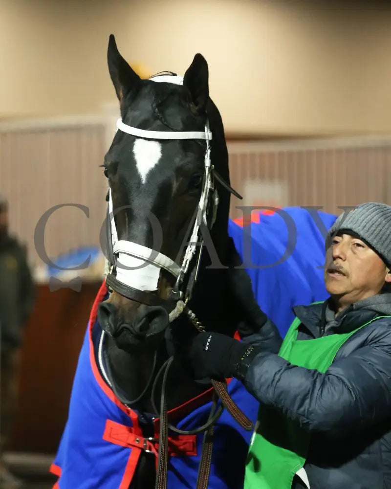 Icicles - The Likely Exchange 26Th Running 01-13-24 R08 Tp Paddock 01 Turfway Park