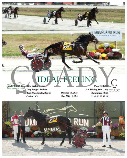 IDEAL FEELING - 101825 - Race 02 - CMR Presque Isle Downs
