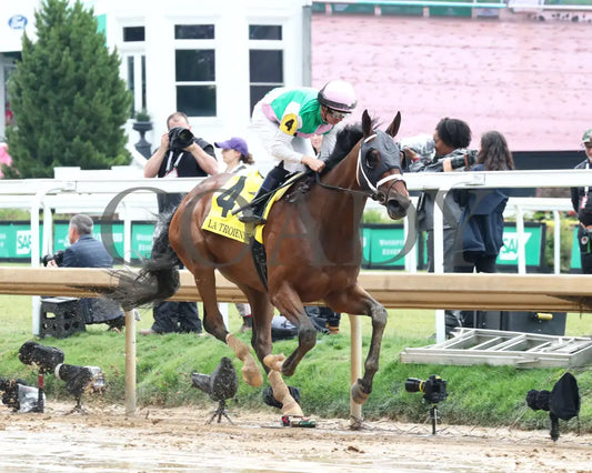 Idiomatic - The Fasig-Tipton La Troienne G1 05-03-24 R05 Cd Finish 04 Churchill Downs