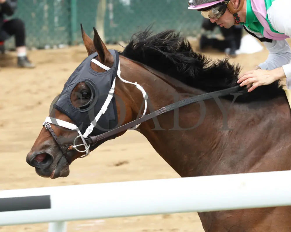 Idiomatic - The Fasig-Tipton La Troienne G1 05-03-24 R05 Cd Inside Finish 02 Churchill Downs