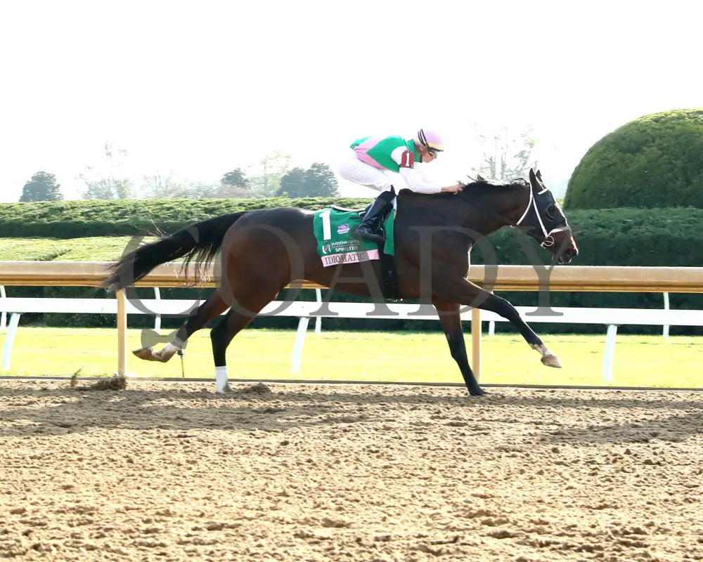 Idiomatic - The Juddmonte Spinster G1 10-06-24 R09 Kee Finish 01 Keeneland