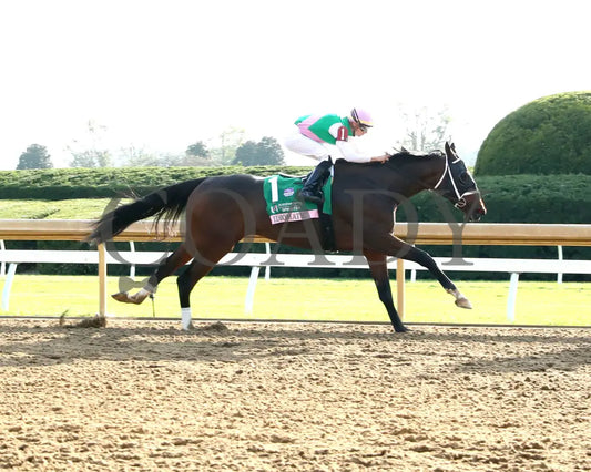 Idiomatic - The Juddmonte Spinster G1 10-06-24 R09 Kee Finish 01 Keeneland