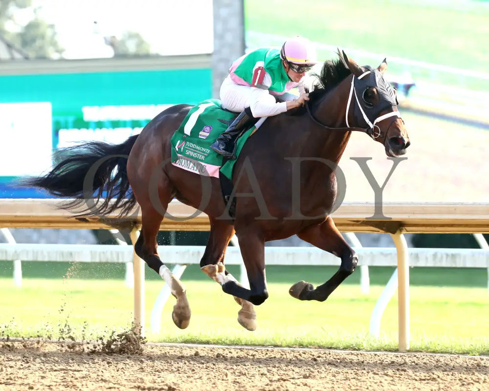 Idiomatic - The Juddmonte Spinster G1 10-06-24 R09 Kee Finish 02 Keeneland