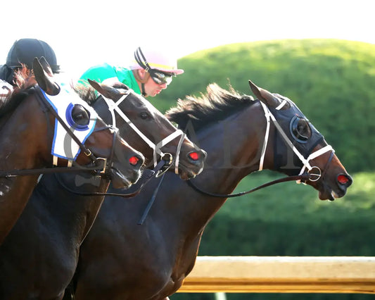 Idiomatic - The Juddmonte Spinster G1 10-06-24 R09 Kee First Pass 01 Keeneland