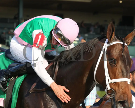 Idiomatic - The Juddmonte Spinster G1 10-06-24 R09 Kee Florent Geroux 02 Keeneland