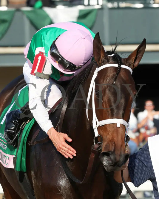 Idiomatic - The Juddmonte Spinster G1 10-06-24 R09 Kee Florent Geroux 03 Keeneland