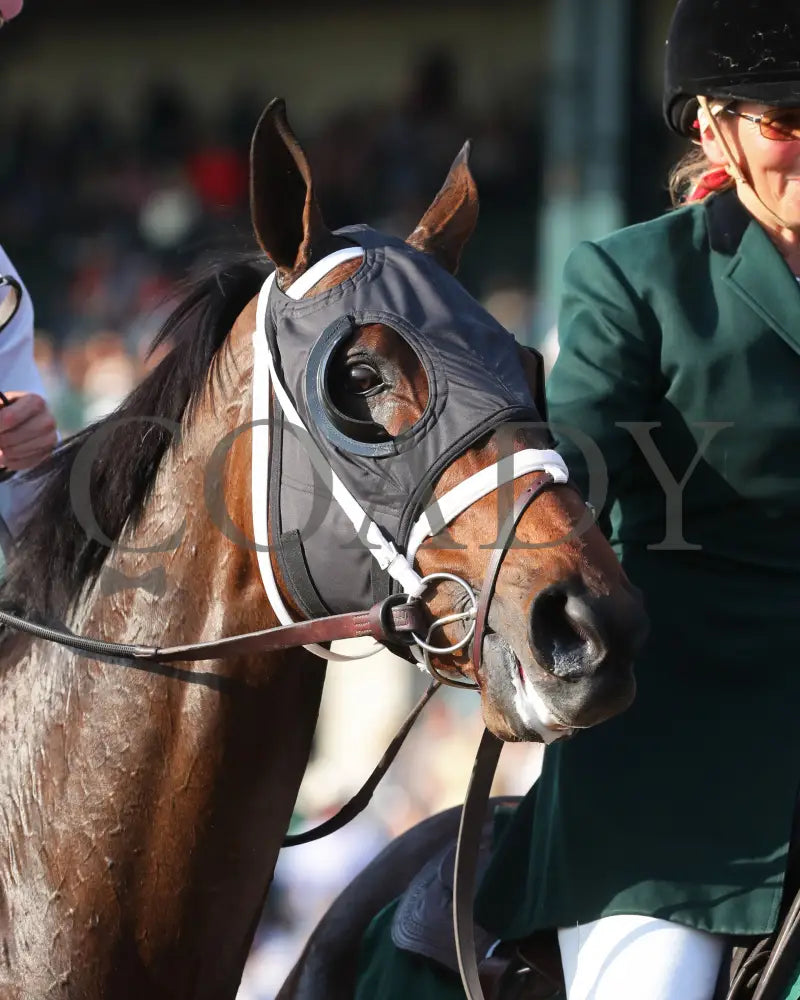 Idiomatic - The Juddmonte Spinster G1 10-06-24 R09 Kee Head Shot 01 Keeneland