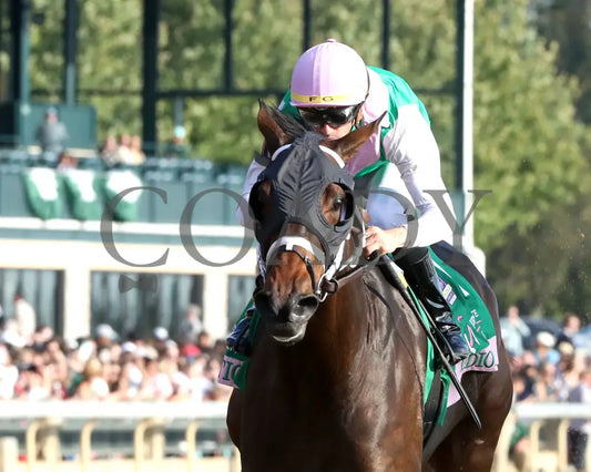 Idiomatic - The Juddmonte Spinster G1 10-06-24 R09 Kee Inside Finish 01 Keeneland