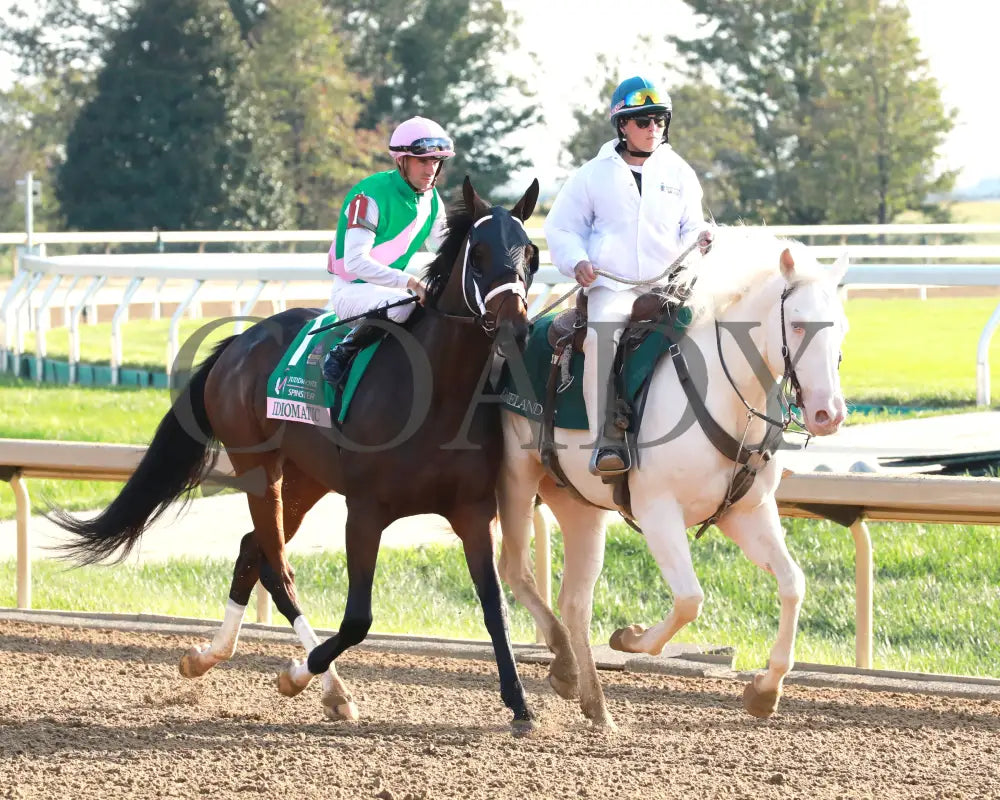 Idiomatic - The Juddmonte Spinster G1 10-06-24 R09 Kee Post Parade 01 Keeneland