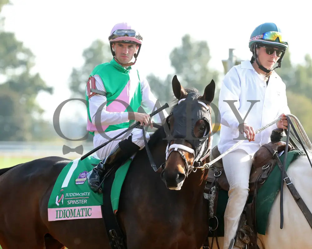 Idiomatic - The Juddmonte Spinster G1 10-06-24 R09 Kee Post Parade 02 Keeneland