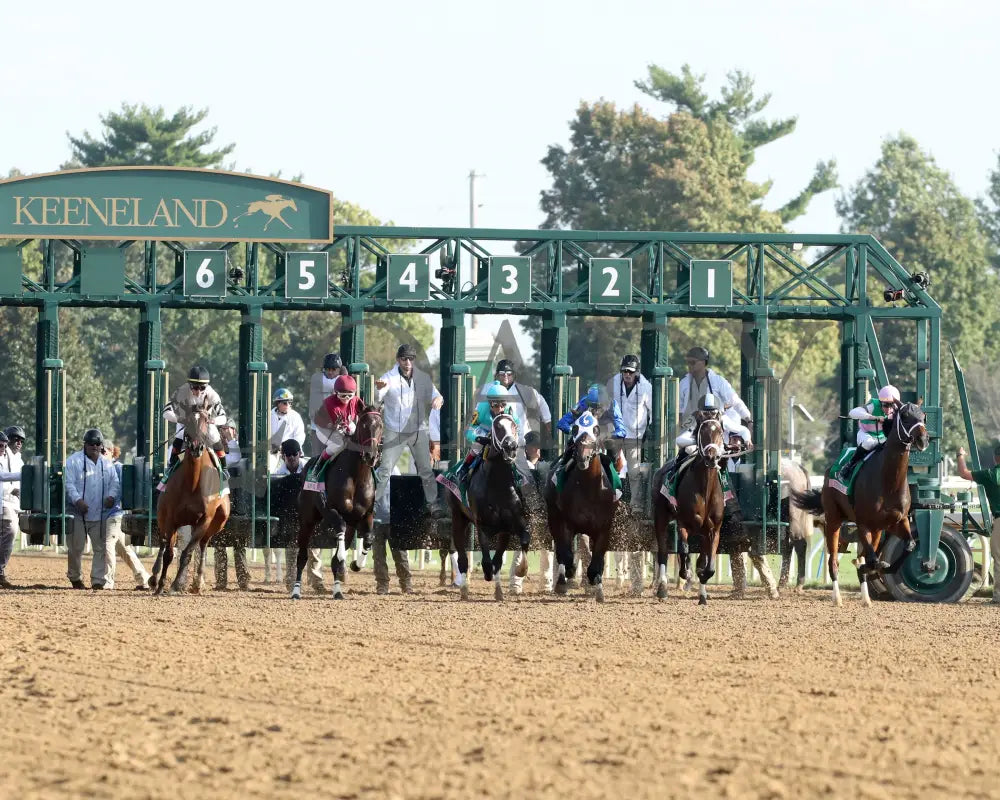 Idiomatic - The Juddmonte Spinster G1 10-06-24 R09 Kee Start 01 Keeneland