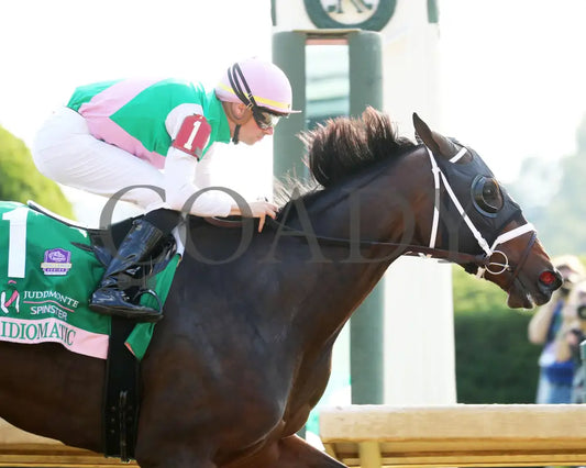Idiomatic - The Juddmonte Spinster G1 10-06-24 R09 Kee Tight Finish 01 Keeneland