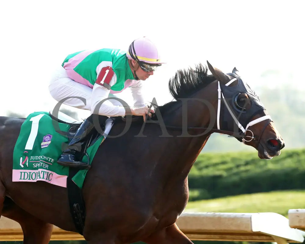 Idiomatic - The Juddmonte Spinster G1 10-06-24 R09 Kee Tight Finish 02 Keeneland