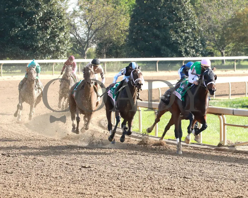 Idiomatic - The Juddmonte Spinster G1 10-06-24 R09 Kee Turn 01 Keeneland