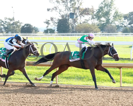 Idiomatic - The Juddmonte Spinster G1 10-06-24 R09 Kee Turn 02 Keeneland