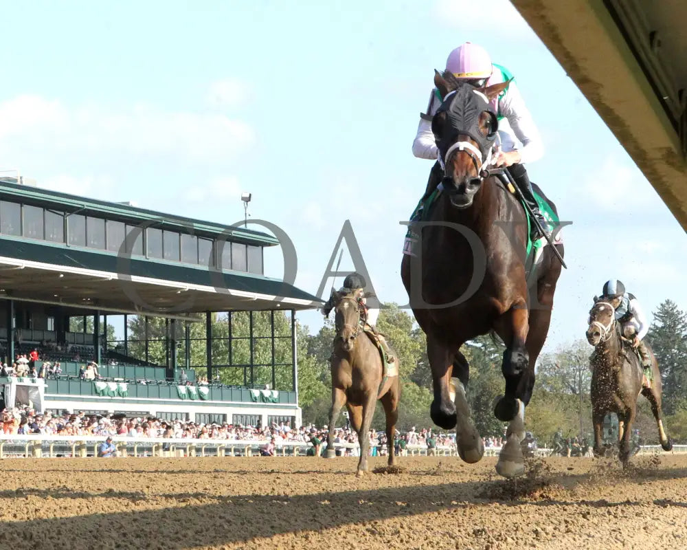 Idiomatic - The Juddmonte Spinster G1 10-06-24 R09 Kee Under Rail 02 Keeneland