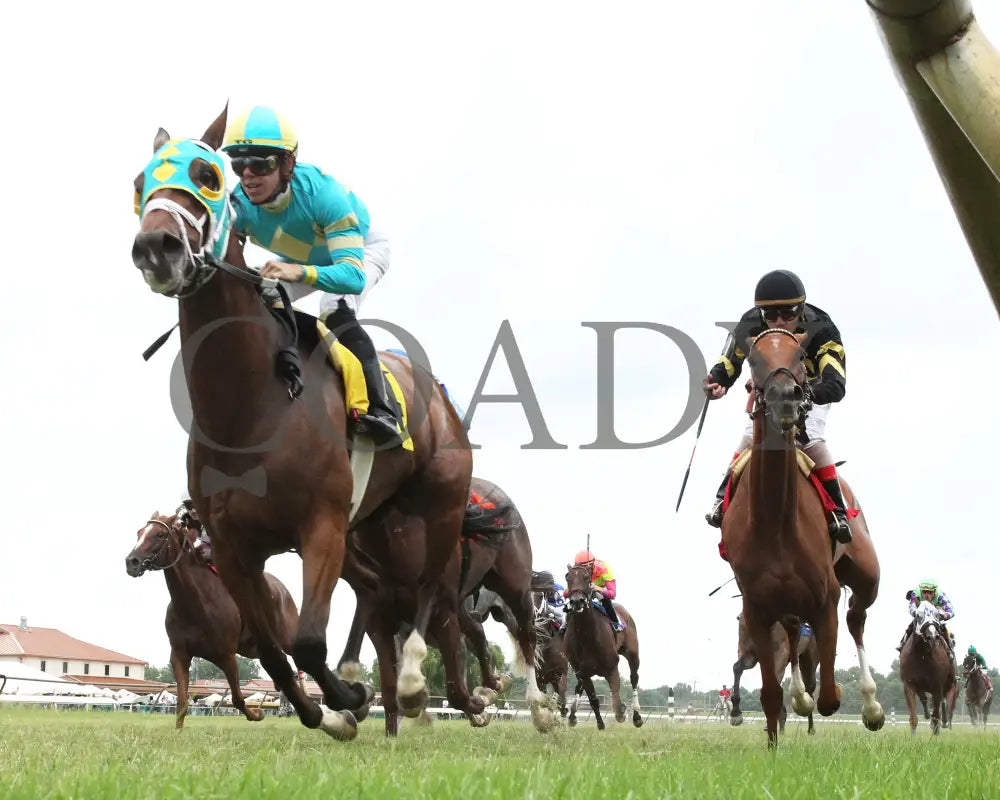 I’m Betty G - 080518 Race 09 Elp Under Rail 01 Ellis Park