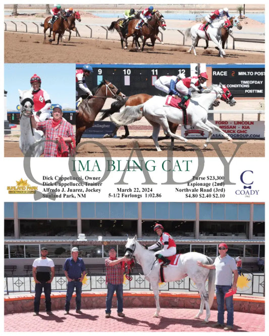 Ima Bling Cat - 03 - 22 - 24 R02 Sun Sunland Park