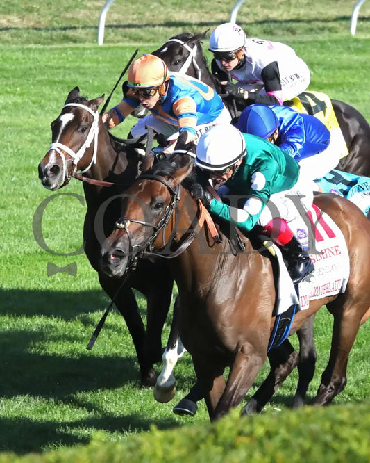 IMAGINATIONTHELADY - The Jessamine Presented by Keeneland Sales G2 - 10-03-25 - R08 - KEE - Inside Finish 02 Keeneland