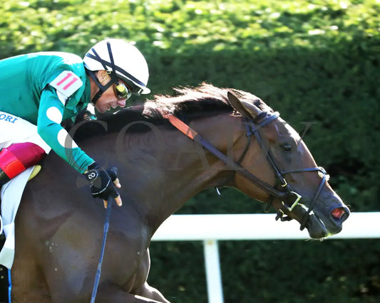 IMAGINATIONTHELADY - The Jessamine Presented by Keeneland Sales G2 - 10-03-25 - R08 - KEE - Tight Finish 01 Keeneland
