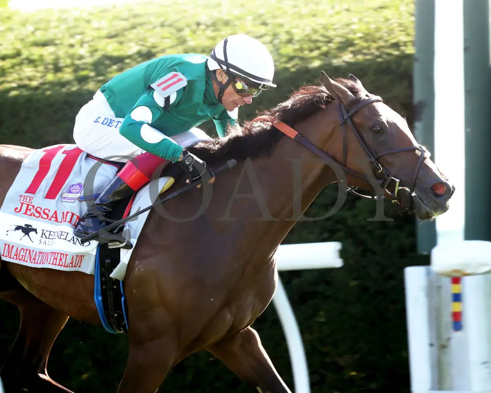 IMAGINATIONTHELADY - The Jessamine Presented by Keeneland Sales G2 - 10-03-25 - R08 - KEE - Tight Finish 02 Keeneland