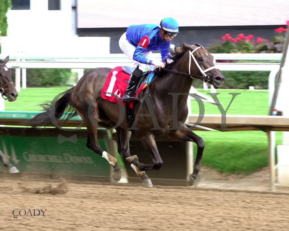 IMMERSIVE - 092025 - Race 08 - CD  The Seneca Overnight Stakes - 5th Running - Finish 02 - Coady Media - Kurtis Coady Photography