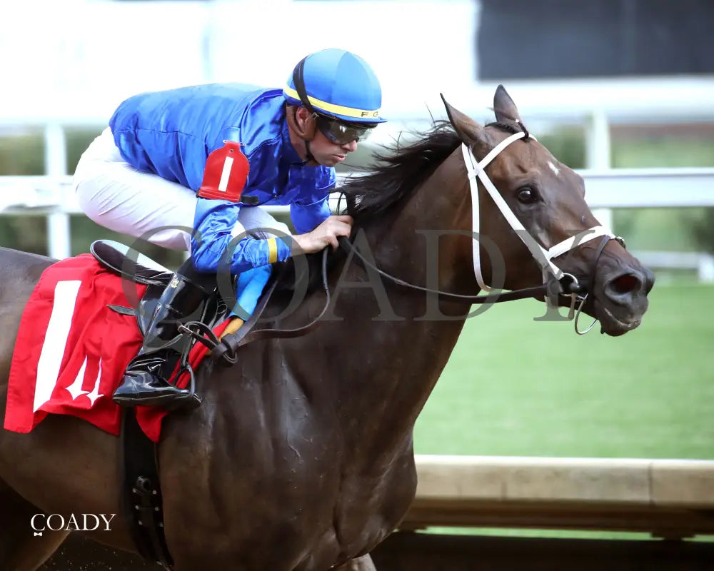 IMMERSIVE - 092025 - Race 08 - CD  The Seneca Overnight Stakes - 5th Running - Finish 03 - Coady Media - Kurtis Coady Photography