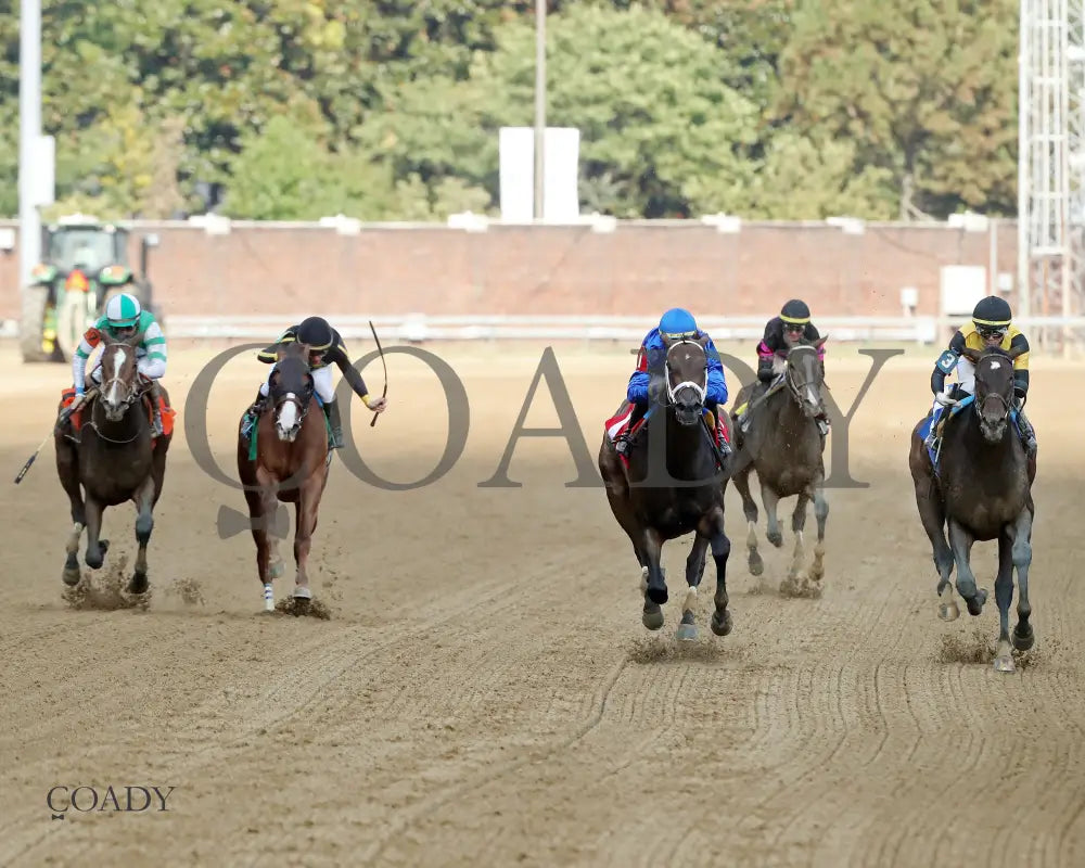 IMMERSIVE - 092025 - Race 08 - CD  The Seneca Overnight Stakes - 5th Running - Head On 01 - Coady Media - Kurtis Coady Photography