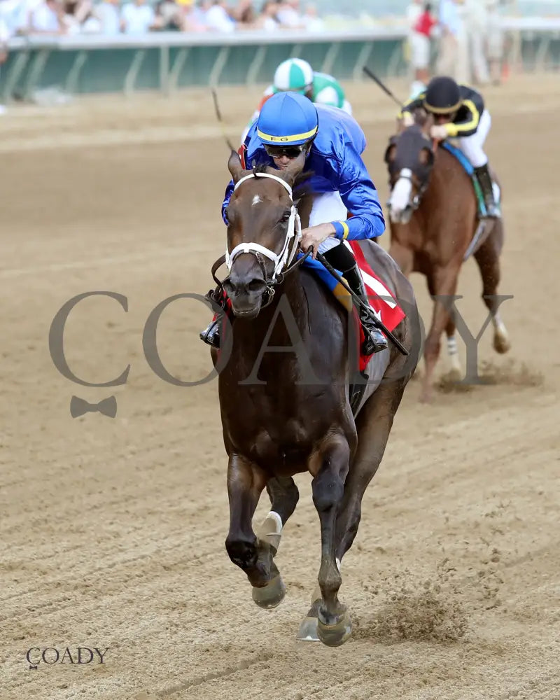 IMMERSIVE - 092025 - Race 08 - CD  The Seneca Overnight Stakes - 5th Running - Inside Finish 02 - Coady Media - Kurtis Coady Photography