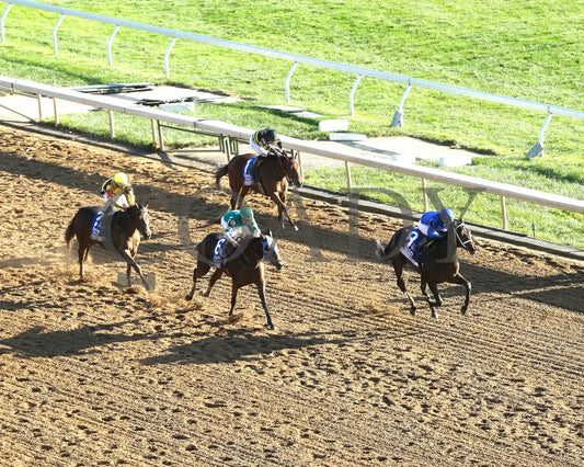 Immersive - The Darley Alcibiades G1 73Rd Running 10-04-24 R09 Kee Aerial Finish 01 Keeneland