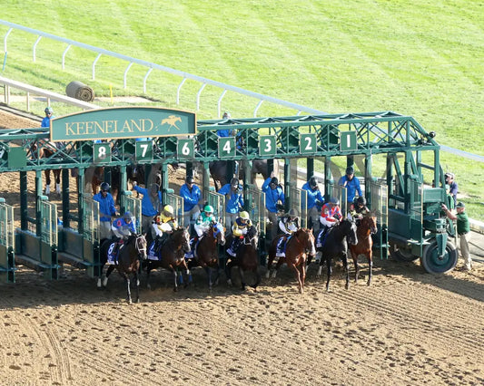 Immersive - The Darley Alcibiades G1 73Rd Running 10-04-24 R09 Kee Aerial Start 01 Keeneland
