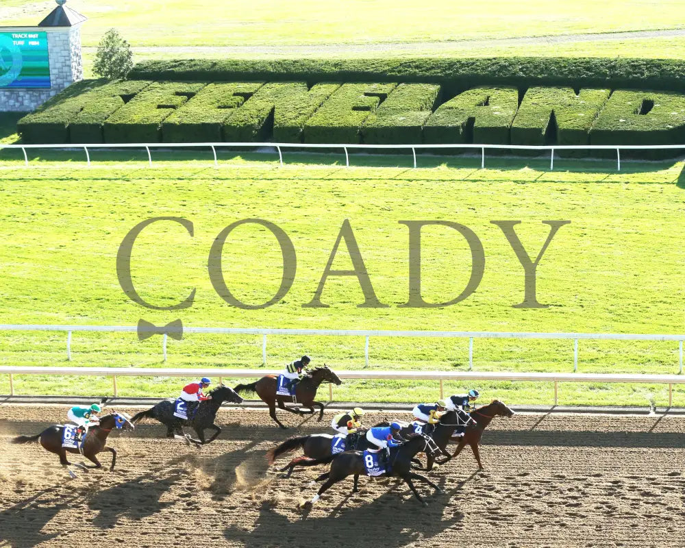Immersive - The Darley Alcibiades G1 73Rd Running 10-04-24 R09 Kee Aerial Start 02 (Copy) Keeneland