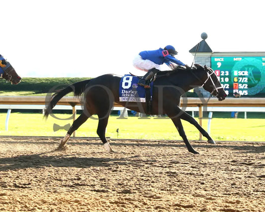Immersive - The Darley Alcibiades G1 73Rd Running 10-04-24 R09 Kee Finish 01 (Copy) Keeneland