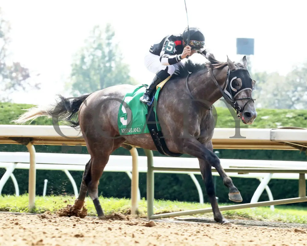 Immersive - The Darley Alcibiades G1 73Rd Running 10-04-24 R09 Kee Finish 02 (Copy) Keeneland