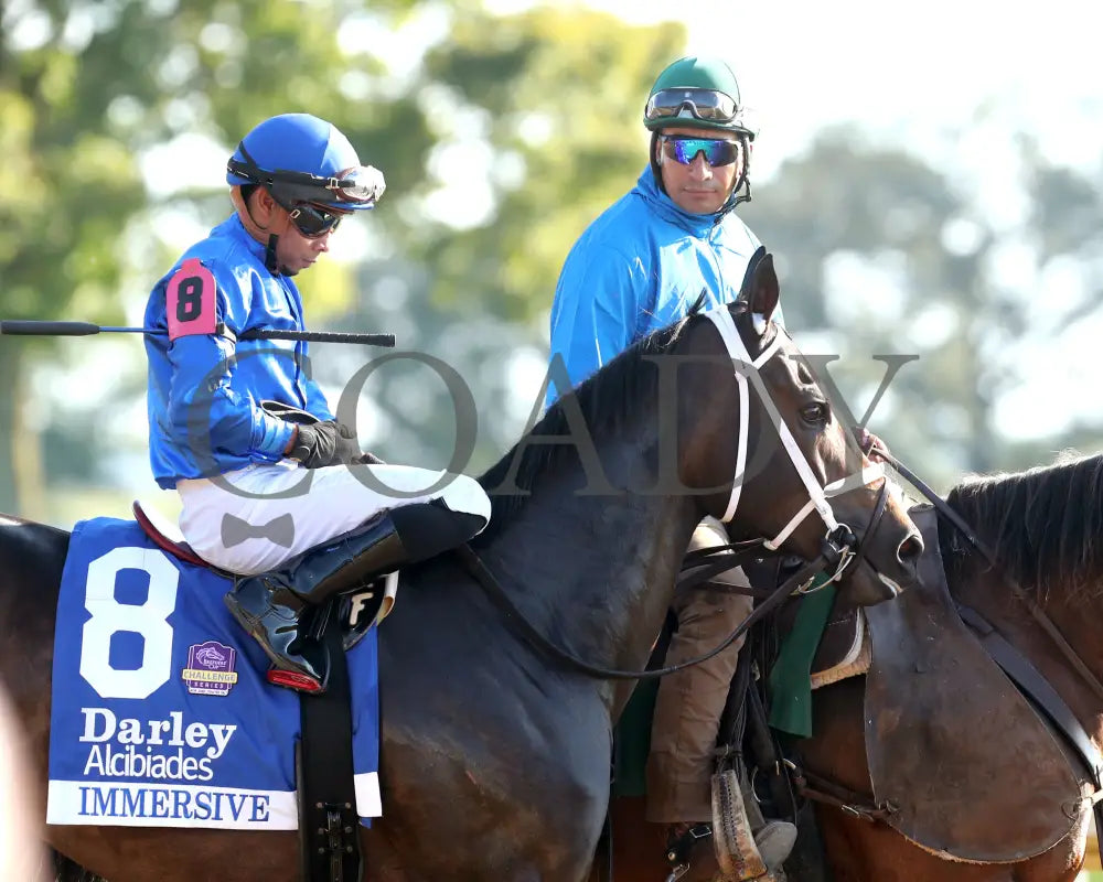 Immersive - The Darley Alcibiades G1 73Rd Running 10-04-24 R09 Kee Post Parade 02 Keeneland