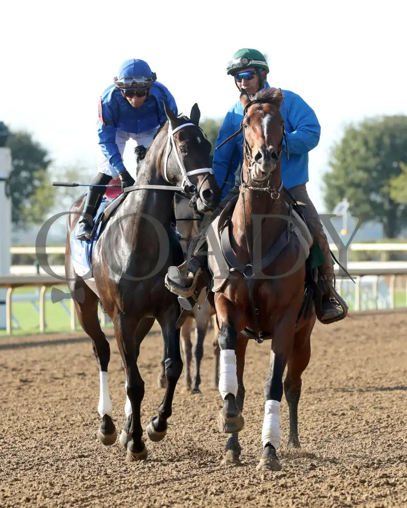 Immersive - The Darley Alcibiades G1 73Rd Running 10-04-24 R09 Kee Post Parade 03 Keeneland