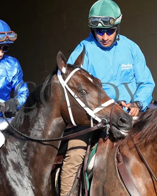 Immersive - The Darley Alcibiades G1 73Rd Running 10-04-24 R09 Kee Post Parade 04 Keeneland