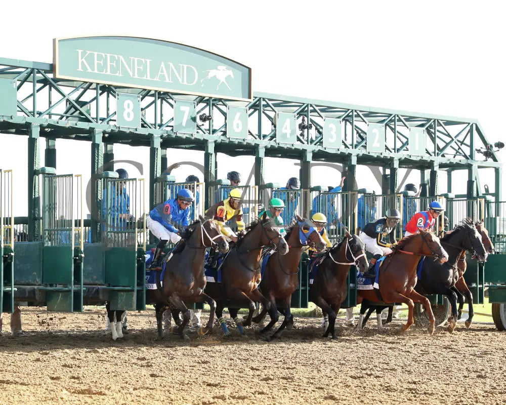 Immersive - The Darley Alcibiades G1 73Rd Running 10-04-24 R09 Kee Start 01 Keeneland