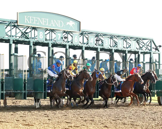 Immersive - The Darley Alcibiades G1 73Rd Running 10-04-24 R09 Kee Start 01 Keeneland