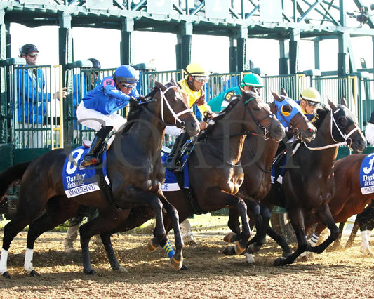 Immersive - The Darley Alcibiades G1 73Rd Running 10-04-24 R09 Kee Start 02 Keeneland