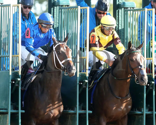 Immersive - The Darley Alcibiades G1 73Rd Running 10-04-24 R09 Kee Start 03 Keeneland