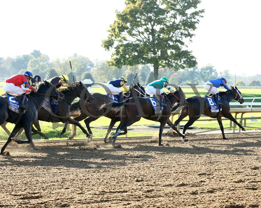 Immersive - The Darley Alcibiades G1 73Rd Running 10-04-24 R09 Kee Turn 02 Keeneland