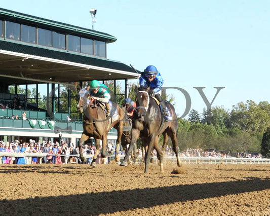 Immersive - The Darley Alcibiades G1 73Rd Running 10-04-24 R09 Kee Under Rail 01 Keeneland