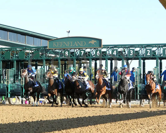 Immersive - The Darley Alcibiades G1 73Rd Running 10-04-24 R09 Kee Under Rail Keeneland