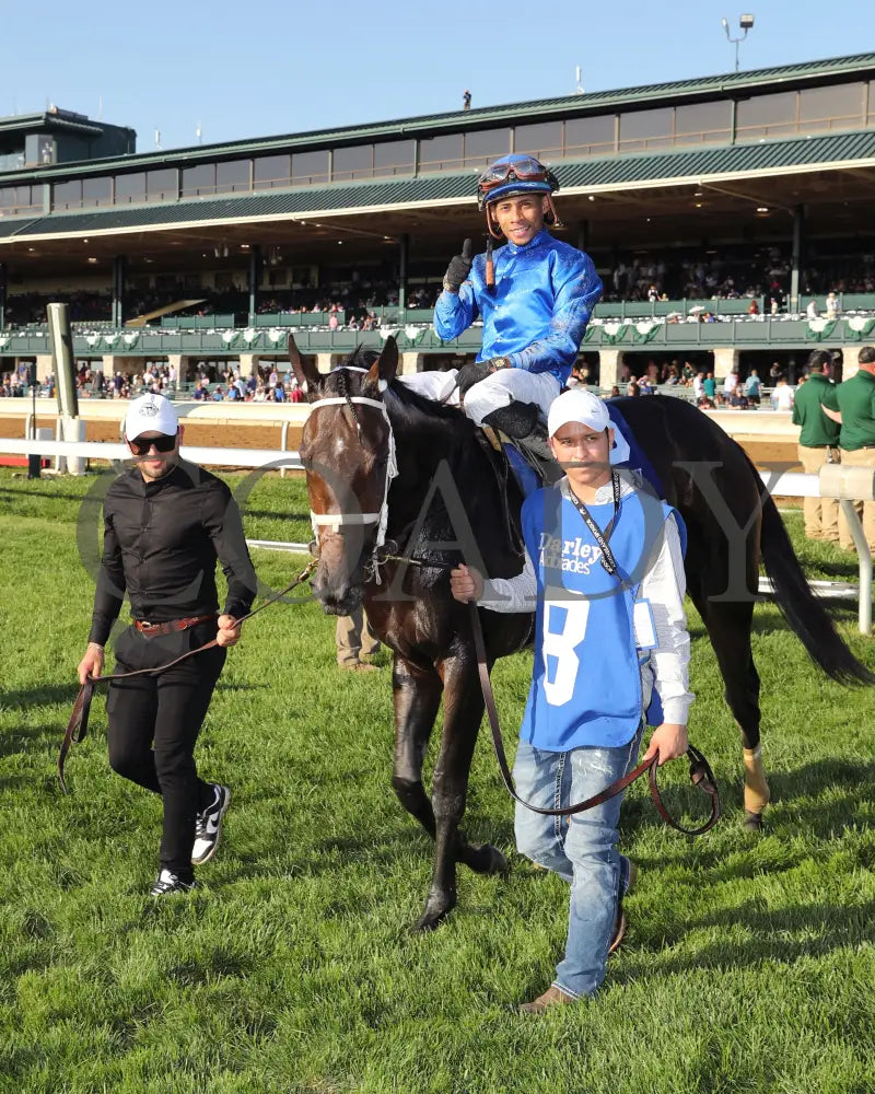 Immersive - The Darley Alcibiades G1 73Rd Running 10-04-24 R09 Kee Walk In 01 Keeneland