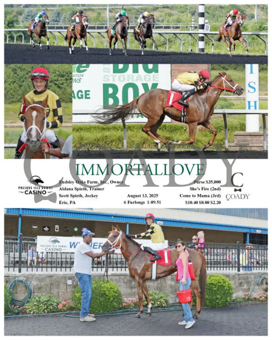 IMMORTALLOVE - 08-13-25 - R03 - PID Presque Isle Downs