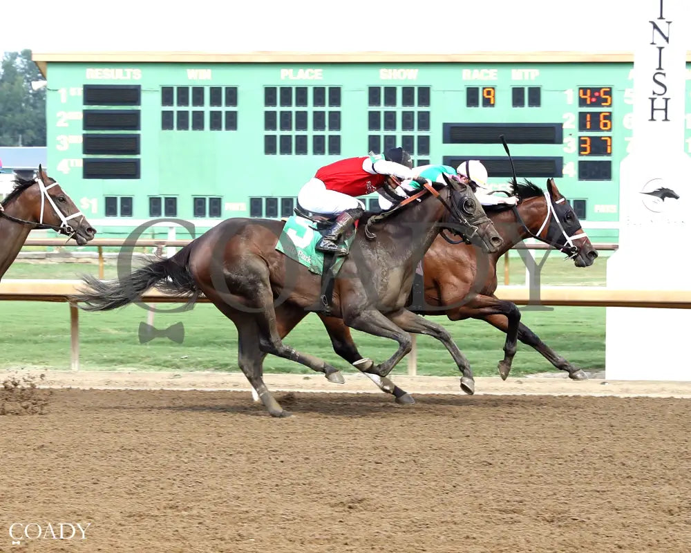IMPEL - The Groupie Doll - 08-10-25 - R09 - ELP - Finish 01 Ellis Park
