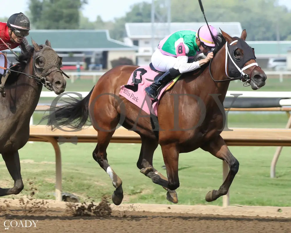 IMPEL - The Groupie Doll - 08-10-25 - R09 - ELP - Finish 02 Ellis Park